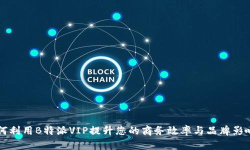 如何利用B特派VIP提升您的商务效率与品牌影响力