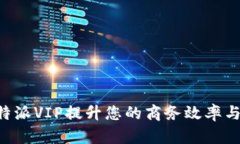如何利用B特派VIP提升您的商务效率与