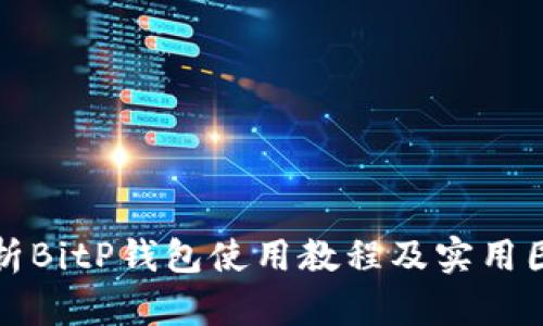全面解析BitP钱包使用教程及实用图片指南