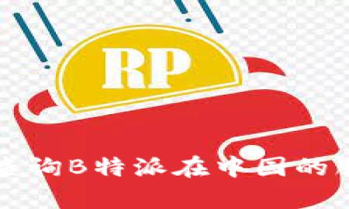 如何有效查询B特派在中国的服务与功能