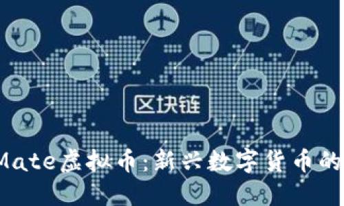 探索SncMate虚拟币:新兴数字货币的未来趋势