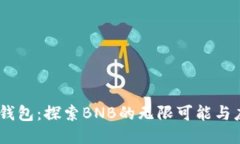 BK钱包：探索BNB的无限可能与应用