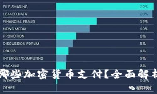 比特派支持哪些加密货币支付?全面解析与用户指南