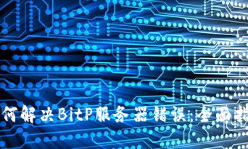 如何解决BitP服务器错误:全面指南