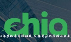 2023年虚拟币市场回暖：反弹背后的原