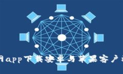 全面解析：B特派官网app下载安卓与苹