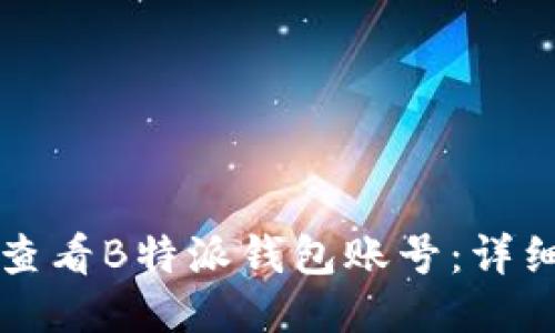 如何查看B特派钱包账号:详细指南