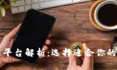 区块链最佳技术平台解析：选择适合你