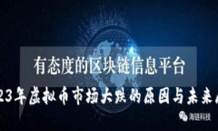 2023年虚拟币市场大跌的原因与未来展