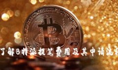 了解B特派提笔费用及其申请流程