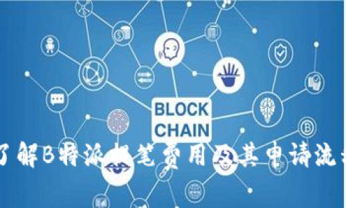了解B特派提笔费用及其申请流程
