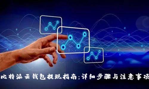 比特派云钱包提现指南:详细步骤与注意事项