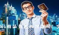 如何找到b特派钱包的付款码? 完整指南
