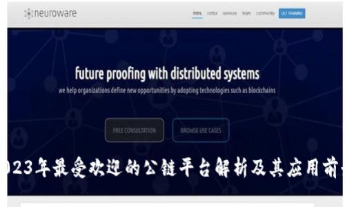 2023年最受欢迎的公链平台解析及其应用前景