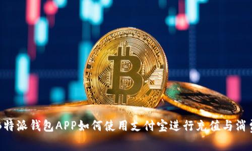 B特派钱包APP如何使用支付宝进行充值与消费