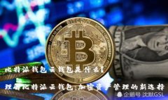 比特派钱包云钱包是什么？理解比特派