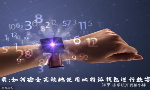 比特派下载:如何安全高效地使用比特派钱包进行数字资产管理