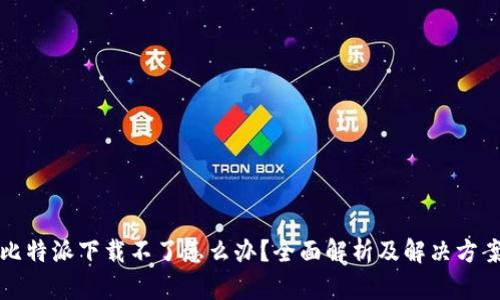 比特派下载不了怎么办?全面解析及解决方案