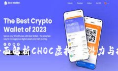题目: 全面解析CHOC虚拟币：潜力与投资