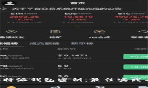 如何安全使用B特派钱包密钥:最佳实践与常见问题解答