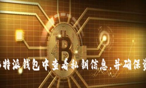 如何在B特派钱包中查看私钥信息,并确保资金安全