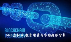BNB虚拟币：投资前景与市场趋势分析