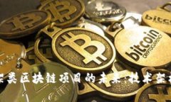 探索平台构架类区块链项目的未来：技