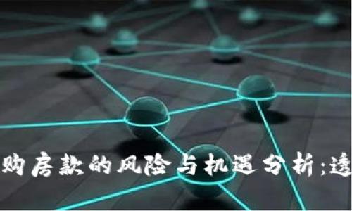 投资虚拟币与购房款的风险与机遇分析:透视飞卢的未来