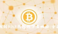 如何找到BitP钱包的下载地址：全面指