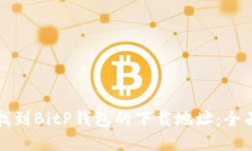 如何找到BitP钱包的下载地址:全面指南