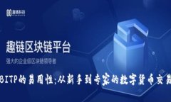 探索BITP的易用性：从新手到专家的数