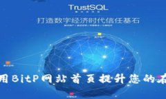 如何有效利用BitP网站首页提升您的在