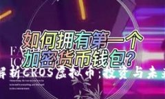 深入解析CROS虚拟币：投资与未来趋势