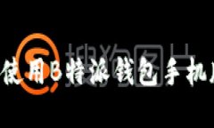 如何下载和使用B特派钱包手机版：全