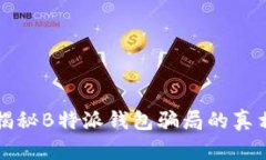 揭秘B特派钱包骗局的真相
