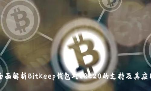 全面解析BitKeep钱包对ERC20的支持及其应用