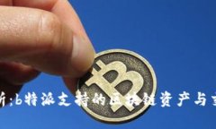 全面解析：b特派支持的区块链资产与