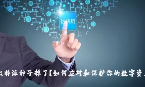 比特派种子掉了?如何应对和保护你的数字资产