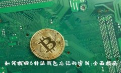 如何找回B特派钱包忘记的密钥：全面