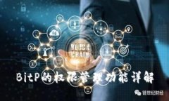 BitP的权限管理功能详解