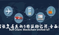 如何恢复丢失的B特派助记词：全面指