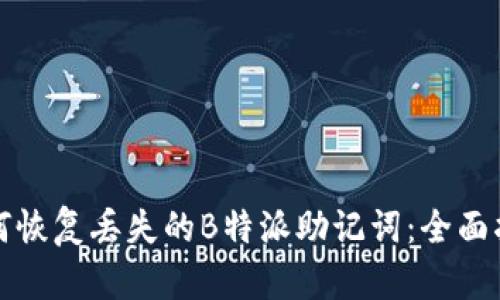 如何恢复丢失的B特派助记词:全面指南