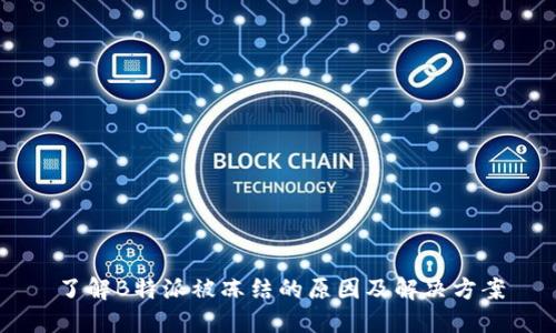 了解B特派被冻结的原因及解决方案