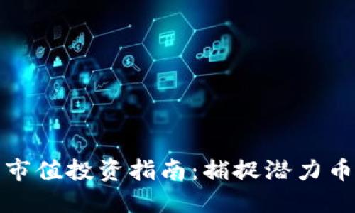 虚拟币小市值投资指南:捕捉潜力币种的机会