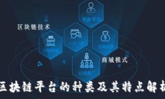   区块链平台的种类及其特点解析