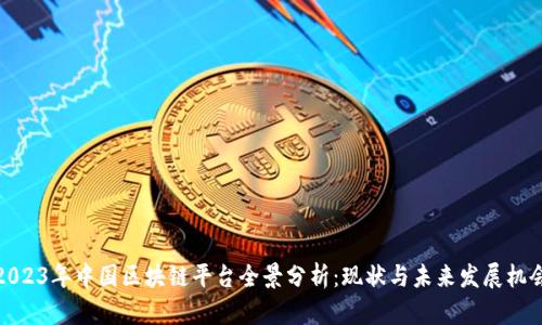 2023年中国区块链平台全景分析:现状与未来发展机会