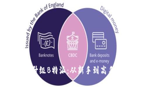 如何快速升级B特派:从新手到高手的全攻略