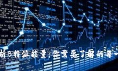 深入解析B特派能量：你需要了解的每