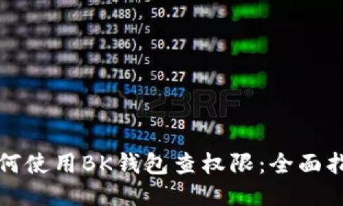 如何使用BK钱包查权限：全面指南
