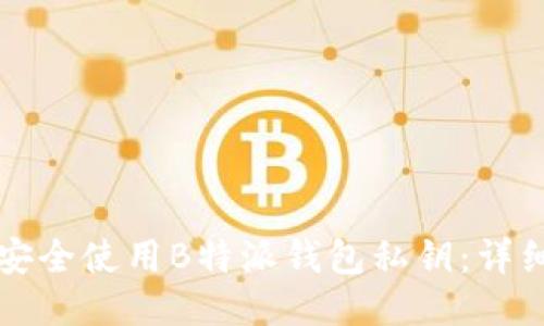 如何安全使用B特派钱包私钥：详细指南